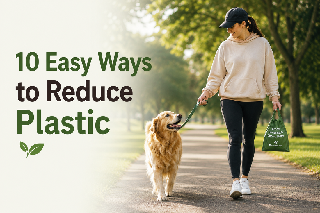 Eco-friendly dog owner walking a golden retriever in a New Zealand park with reusable bag to promote sustainable living and reduce plastic waste