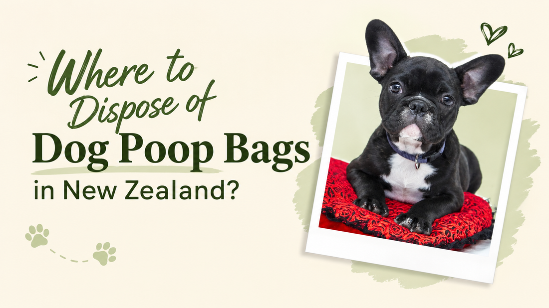 Dog poop bag disposal guide for New Zealand dog owners featuring a French Bulldog